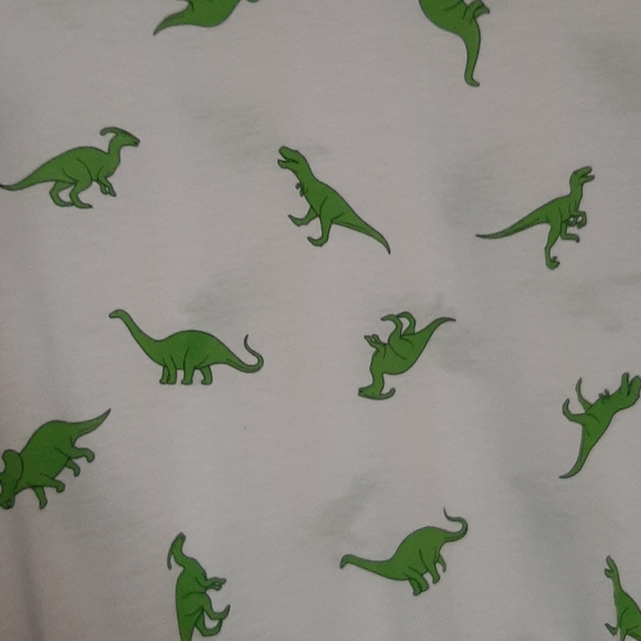 Wound Up | Tops | Dinosaur Shirt | Poshmark